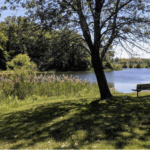 Brighton NY park community Monroe County New York